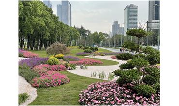 來現(xiàn)場(chǎng)打卡，感受“美麗無錫”的美好